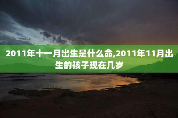 2011年十一月出生是什么命,2011年11月出生的孩子现在几岁