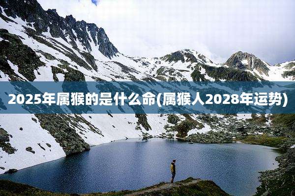 2025年属猴的是什么命(属猴人2028年运势)