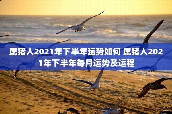 属猪人2021年下半年运势如何 属猪人2021年下半年每月运势及运程