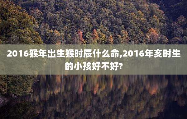 2016猴年出生猴时辰什么命,2016年亥时生的小孩好不好?