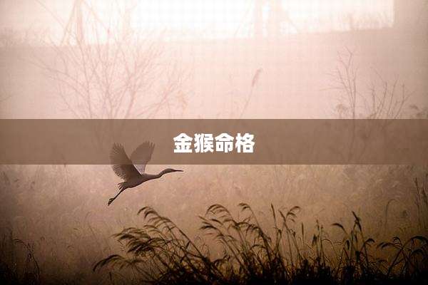 金猴命格