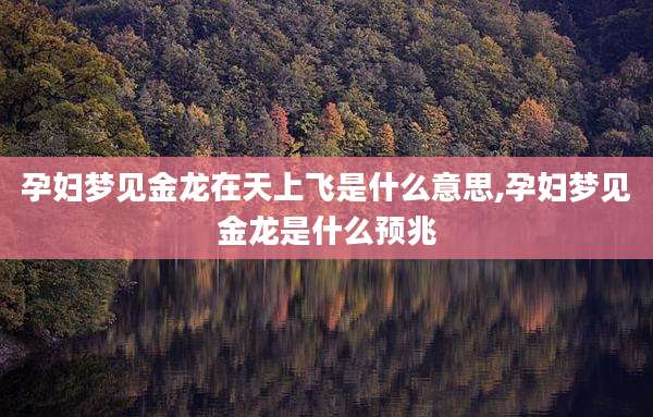 孕妇梦见金龙在天上飞是什么意思,孕妇梦见金龙是什么预兆