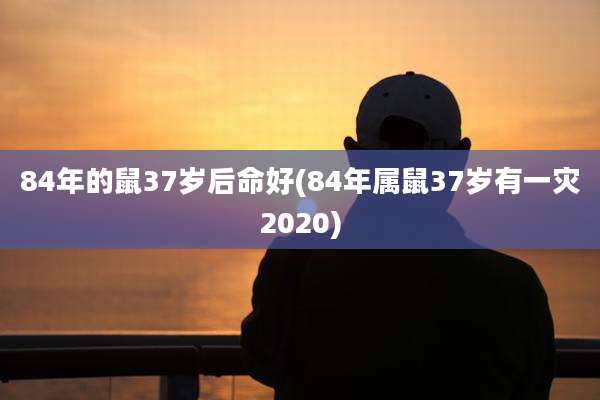 84年的鼠37岁后命好(84年属鼠37岁有一灾2020)