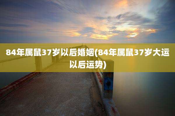 84年属鼠37岁以后婚姻(84年属鼠37岁大运以后运势)