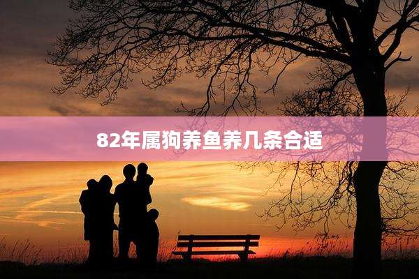 82年属狗养鱼养几条合适
