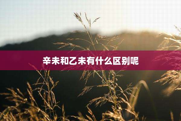辛未和乙未有什么区别呢
