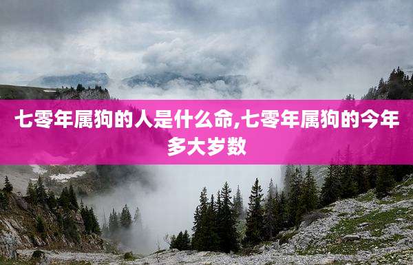 七零年属狗的人是什么命,七零年属狗的今年多大岁数