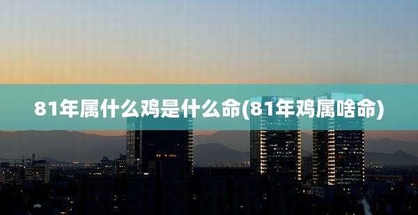 81年属什么鸡是什么命(81年鸡属啥命)