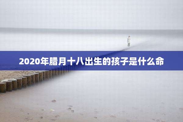 2020年腊月十八出生的孩子是什么命