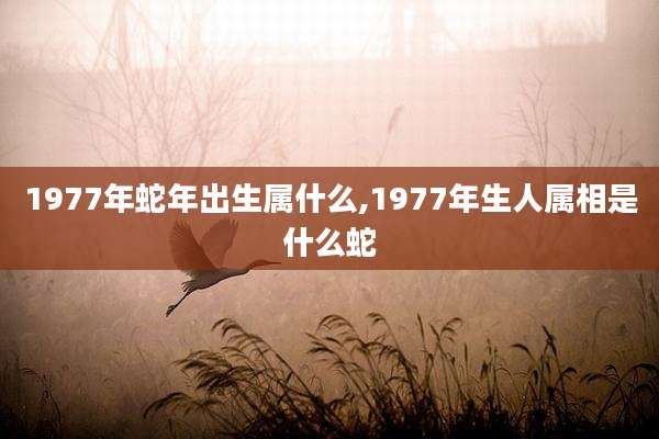 1977年蛇年出生属什么,1977年生人属相是什么蛇