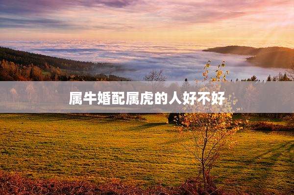 属牛婚配属虎的人好不好