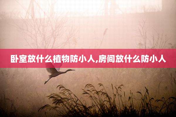 卧室放什么植物防小人,房间放什么防小人