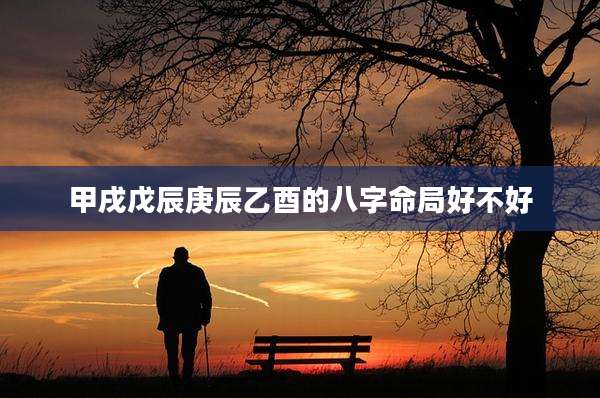 甲戌戊辰庚辰乙酉的八字命局好不好