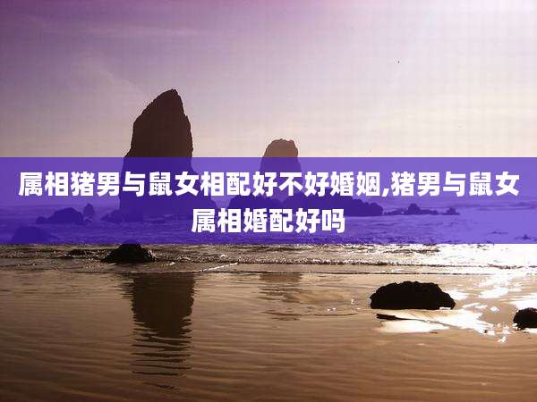属相猪男与鼠女相配好不好婚姻,猪男与鼠女属相婚配好吗