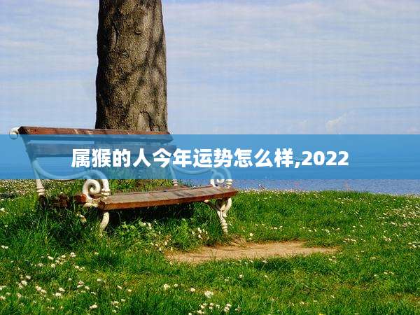 属猴的人今年运势怎么样,2022