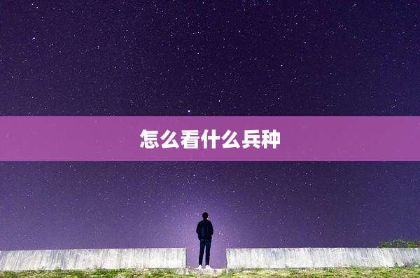 怎么看什么兵种