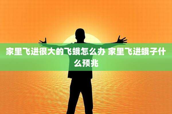 家里飞进很大的飞蛾怎么办 家里飞进蛾子什么预兆