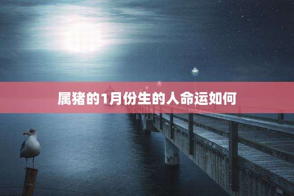 属猪的1月份生的人命运如何