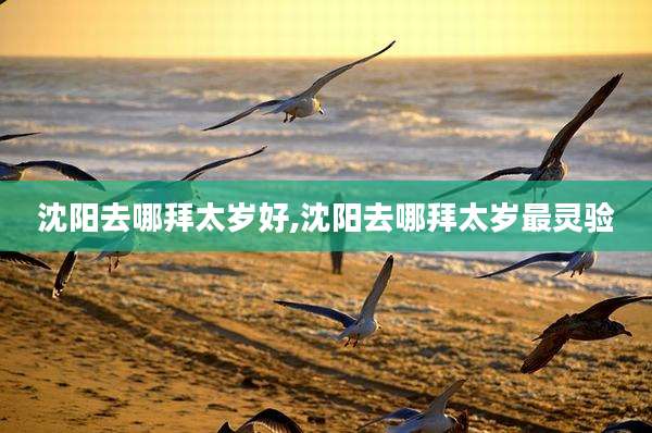 沈阳去哪拜太岁好,沈阳去哪拜太岁最灵验