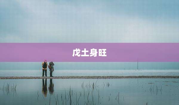 戊土身旺