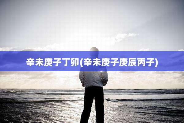 辛未庚子丁卯(辛未庚子庚辰丙子)