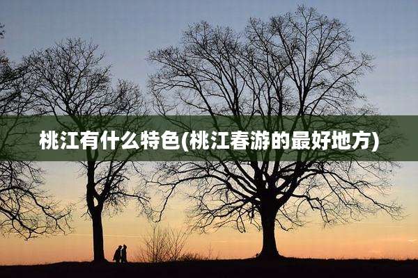 桃江有什么特色(桃江春游的最好地方)