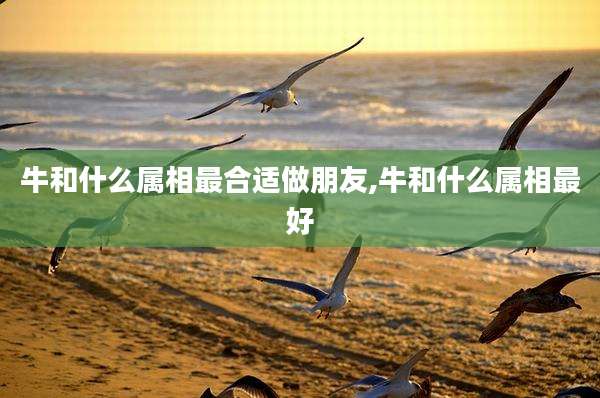 牛和什么属相最合适做朋友,牛和什么属相最好
