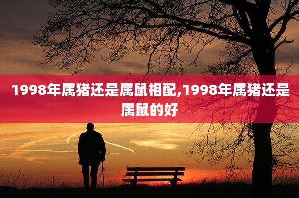 1998年属猪还是属鼠相配,1998年属猪还是属鼠的好