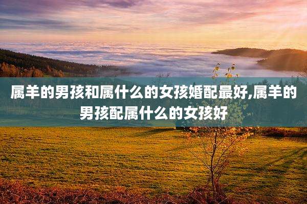 属羊的男孩和属什么的女孩婚配最好,属羊的男孩配属什么的女孩好