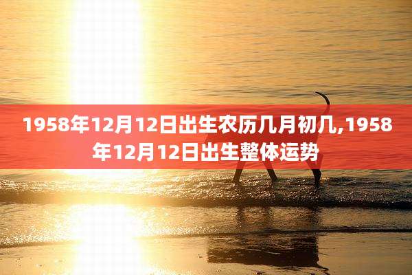 1958年12月12日出生农历几月初几,1958年12月12日出生整体运势