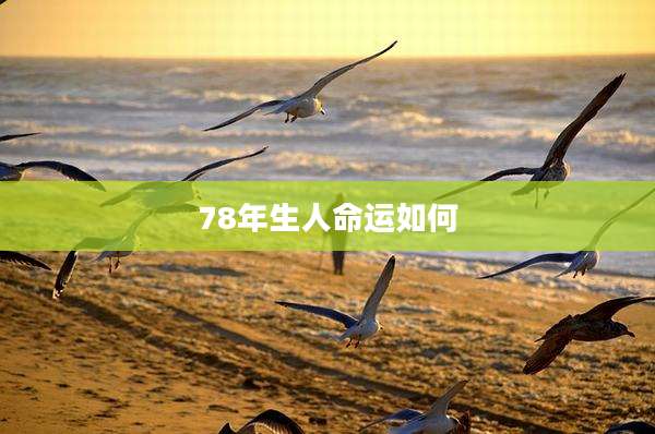 78年生人命运如何