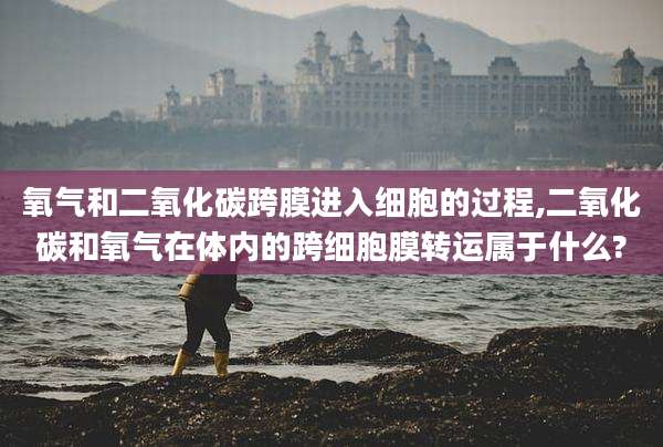 氧气和二氧化碳跨膜进入细胞的过程,二氧化碳和氧气在体内的跨细胞膜转运属于什么?