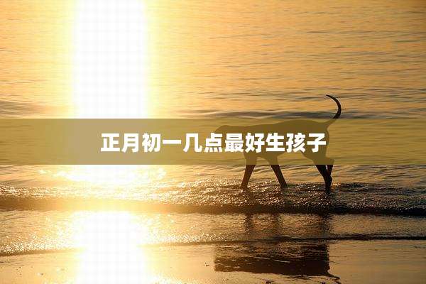 正月初一几点最好生孩子