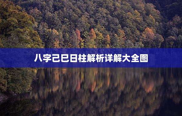 八字己巳日柱解析详解大全图