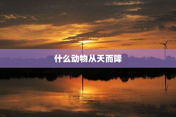什么动物从天而降