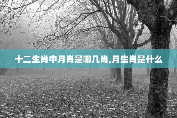 十二生肖中月肖是哪几肖,月生肖是什么
