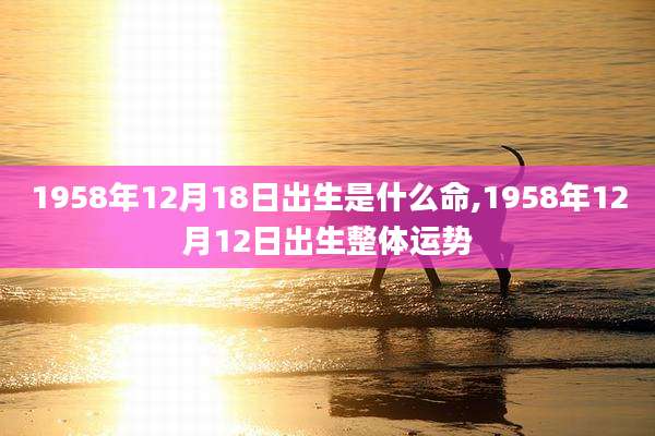 1958年12月18日出生是什么命,1958年12月12日出生整体运势