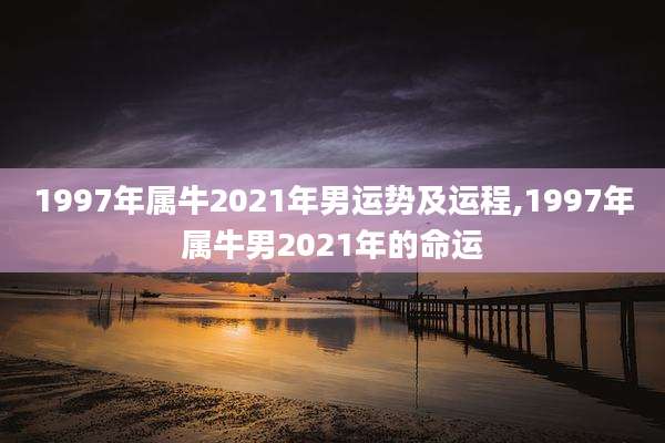 1997年属牛2021年男运势及运程,1997年属牛男2021年的命运