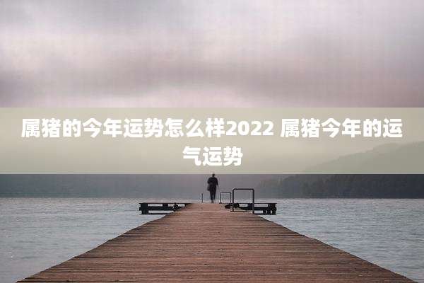 属猪的今年运势怎么样2022 属猪今年的运气运势