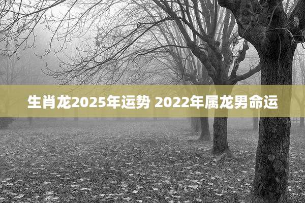 生肖龙2025年运势 2022年属龙男命运