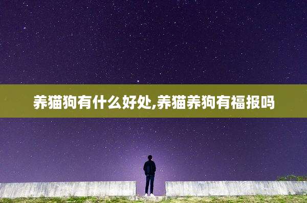 养猫狗有什么好处,养猫养狗有福报吗