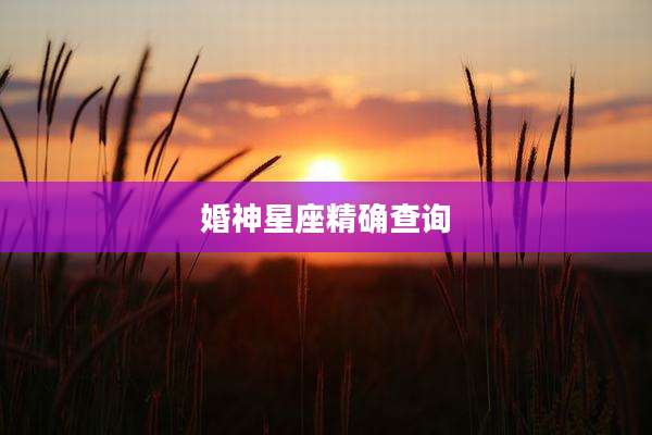 婚神星座精确查询