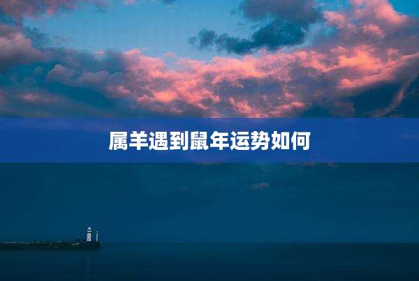 属羊遇到鼠年运势如何