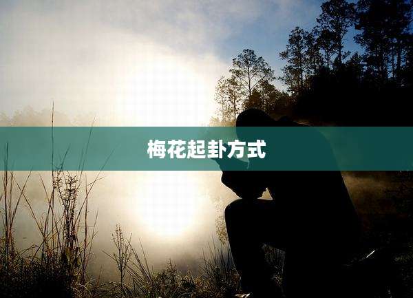 梅花起卦方式