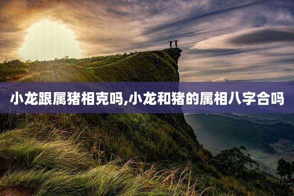 小龙跟属猪相克吗,小龙和猪的属相八字合吗