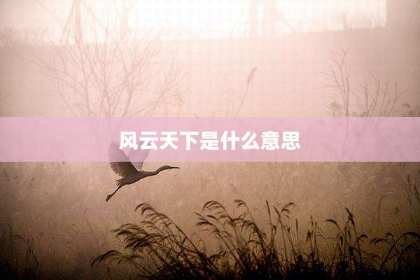 风云天下是什么意思