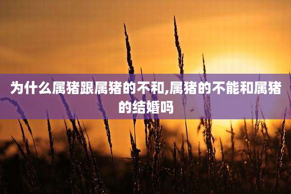 为什么属猪跟属猪的不和,属猪的不能和属猪的结婚吗