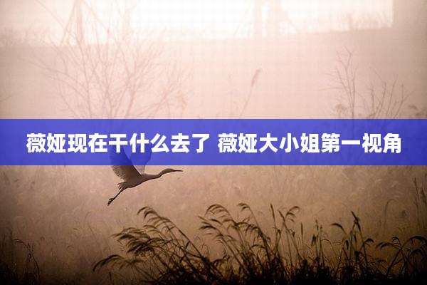 薇娅现在干什么去了 薇娅大小姐第一视角