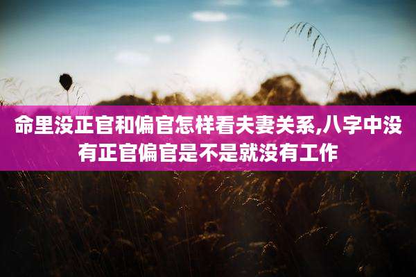 命里没正官和偏官怎样看夫妻关系,八字中没有正官偏官是不是就没有工作