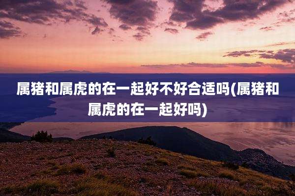 属猪和属虎的在一起好不好合适吗(属猪和属虎的在一起好吗)